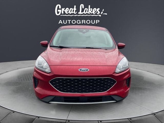 Used 2021 Ford Escape SE w/ Convenience Package image 8