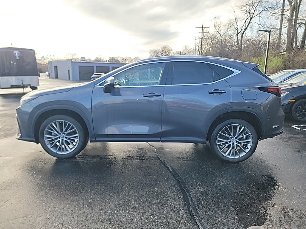 Used 2023 Lexus NX 350h AWD w/ Cold Area Package image 2