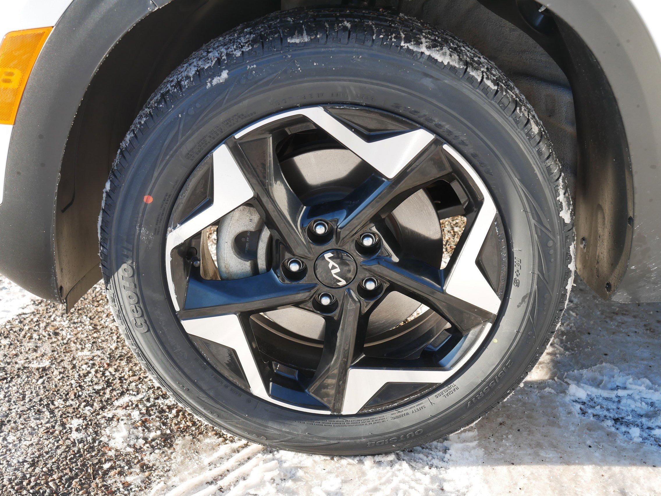 Certified 2024 Kia Seltos EX image 15