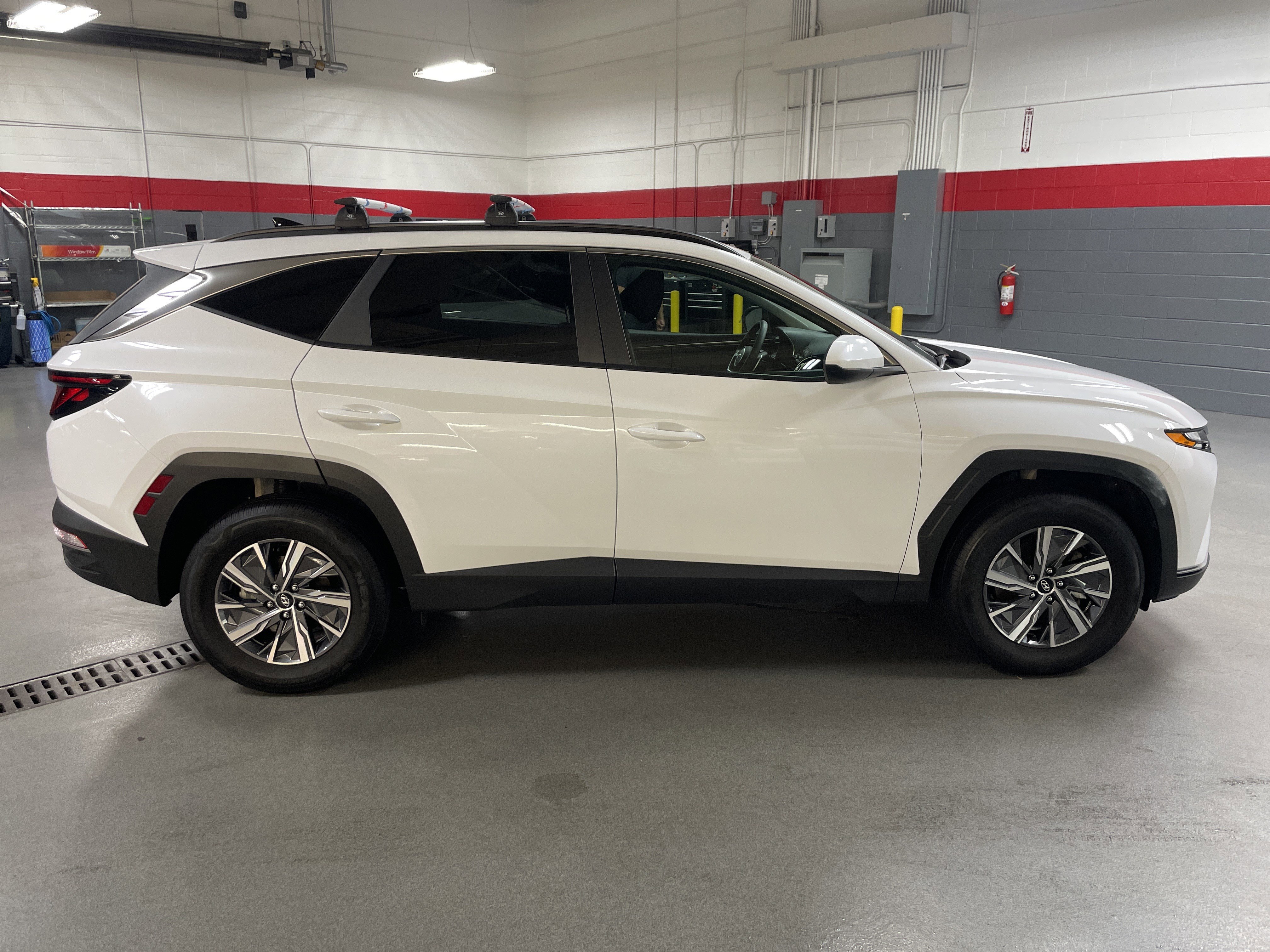 Used 2024 Hyundai Tucson Blue AWD/4WD image 11