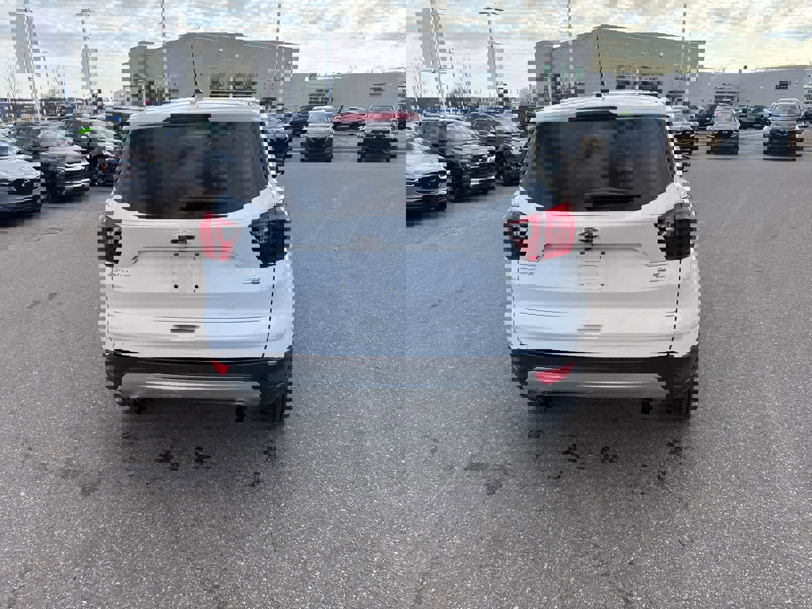 Used 2019 Ford Escape SE image 6