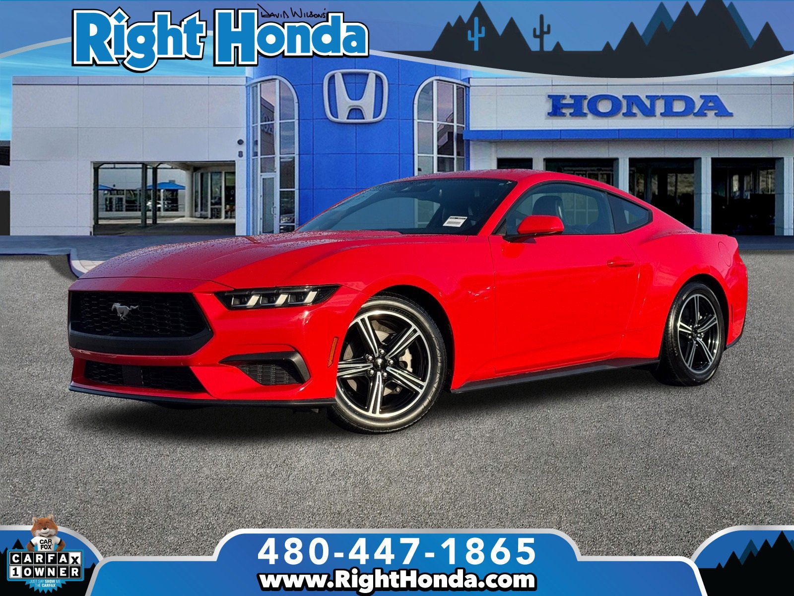 Used 2024 Ford Mustang Premium