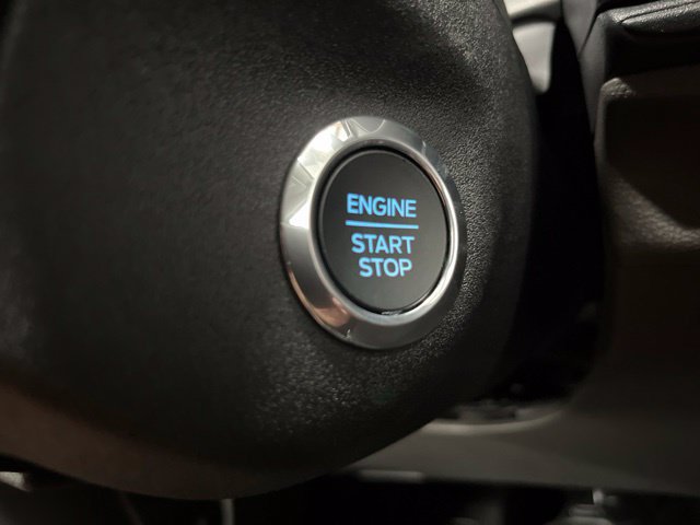 New 2026 Ford Transit 250 Low Roof RWD image 14
