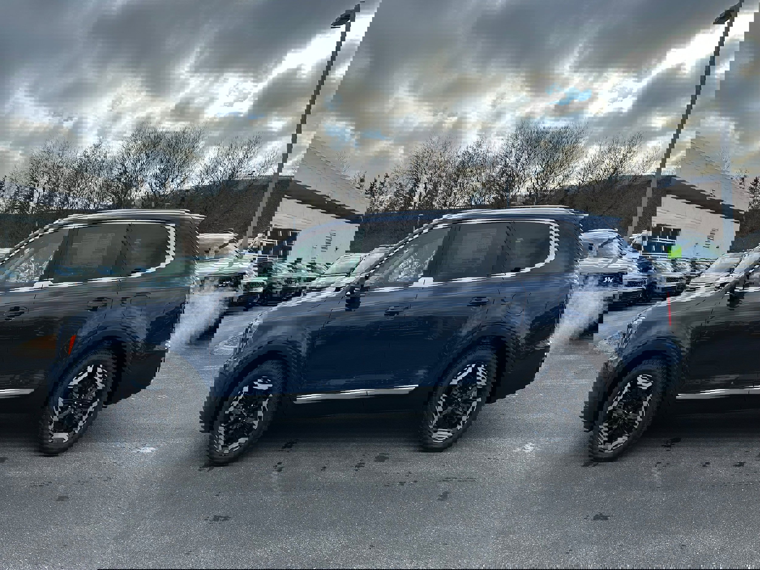 New 2025 Kia Telluride EX image 8