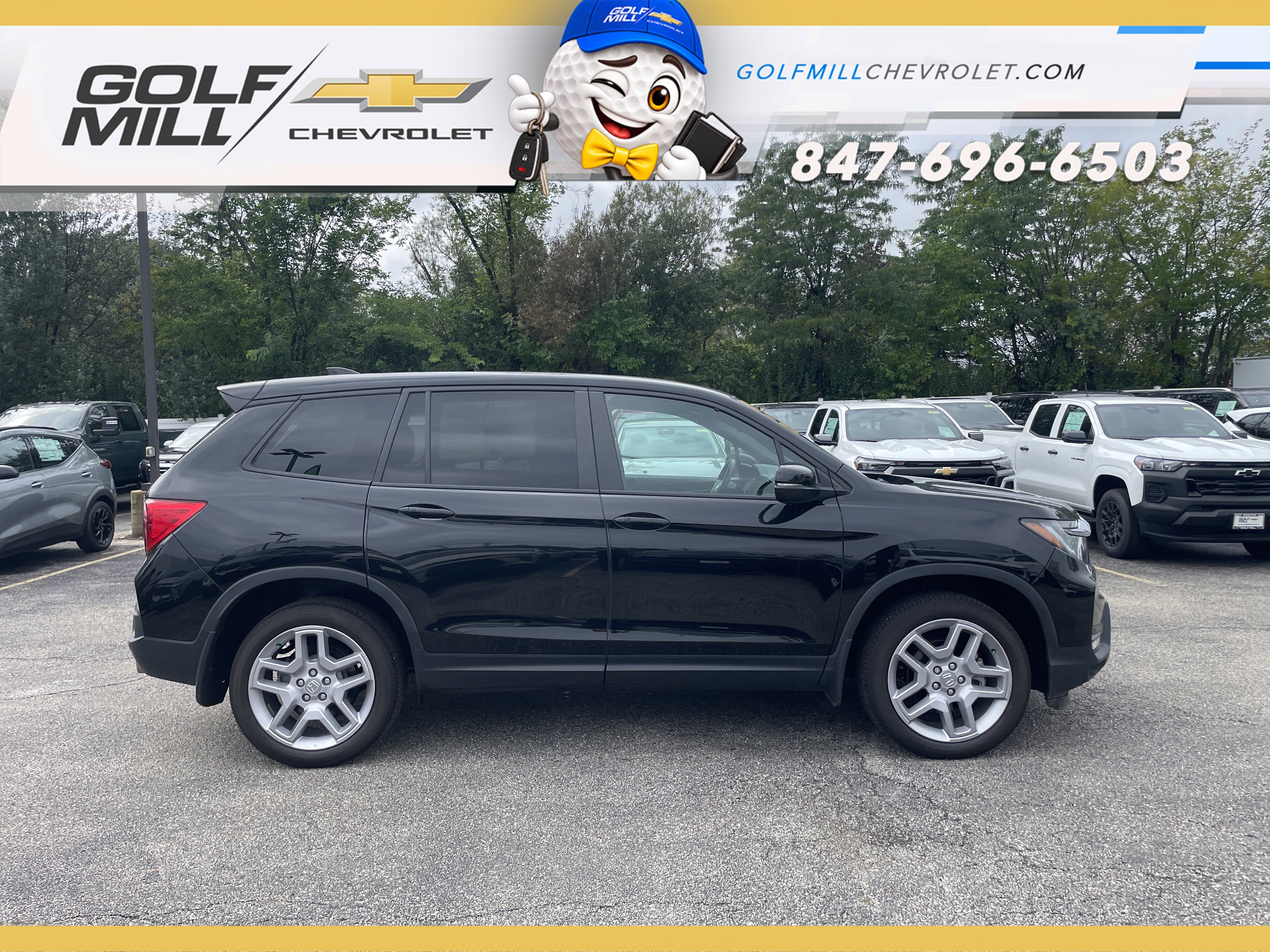 Used 2025 Honda Passport EX-L image 4