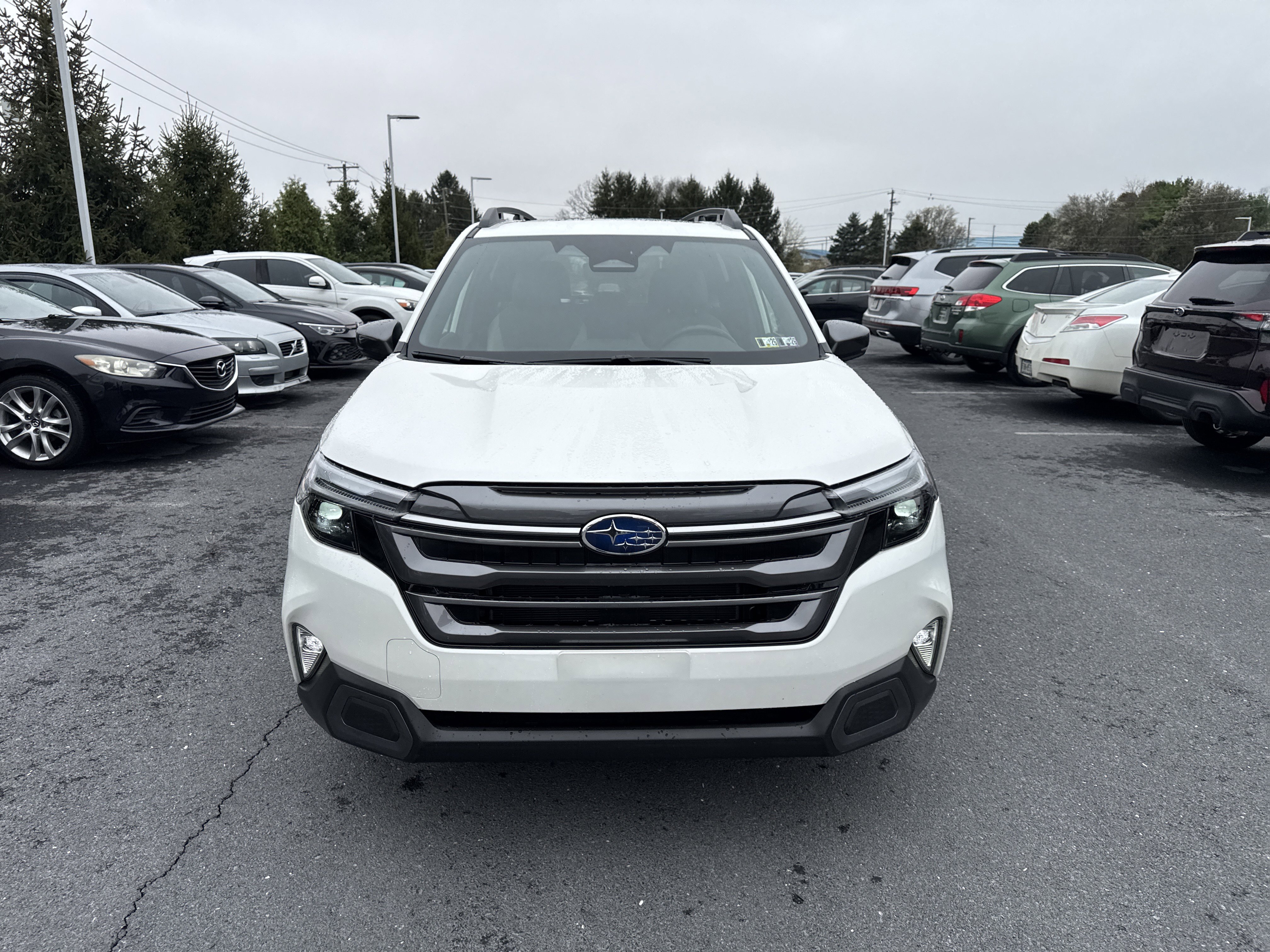 Certified 2025 Subaru Forester Limited image 25