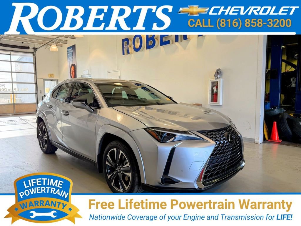 Used 2025 Lexus UX 300h AWD w/ Cold Area Package image 1