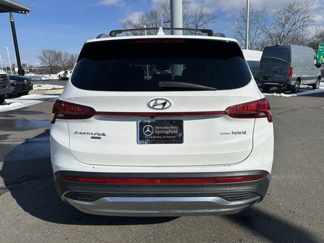 Used 2022 Hyundai Santa Fe Blue image 4