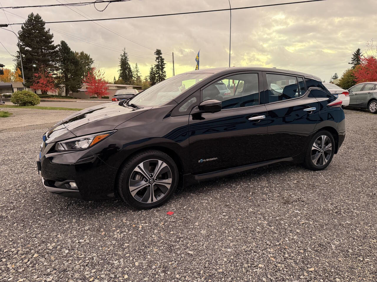 Used 2019 Nissan Leaf SL w/ SL Technology Package image 6