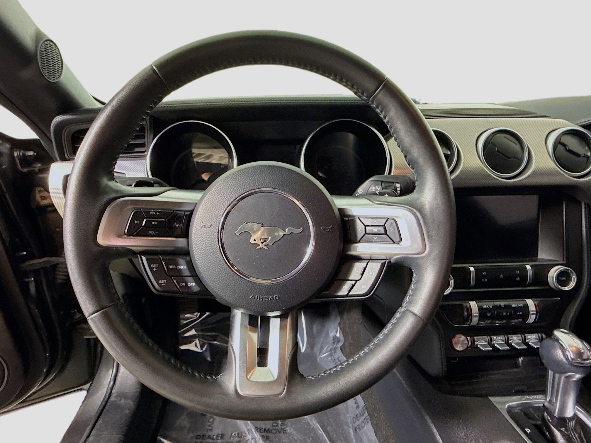 Used 2019 Ford Mustang GT w/ Equipment Group 301A RWD image 13