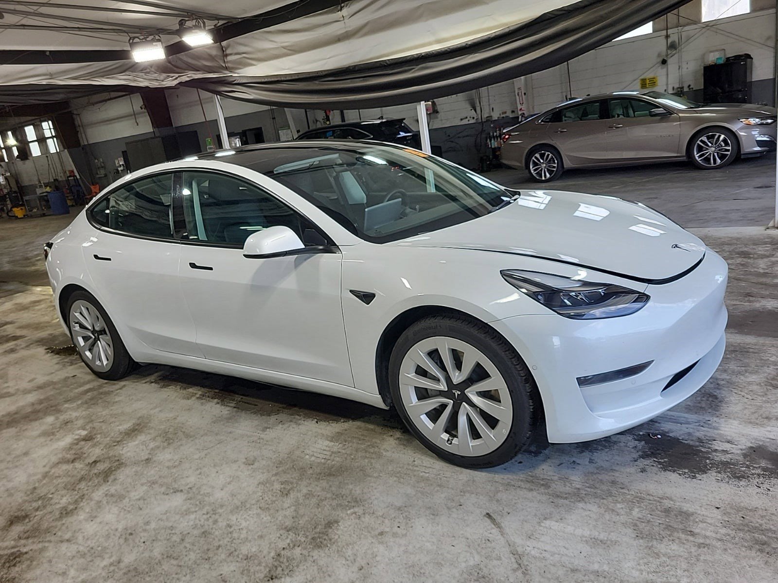 Used 2021 Tesla Model 3 Standard Range Plus image 4