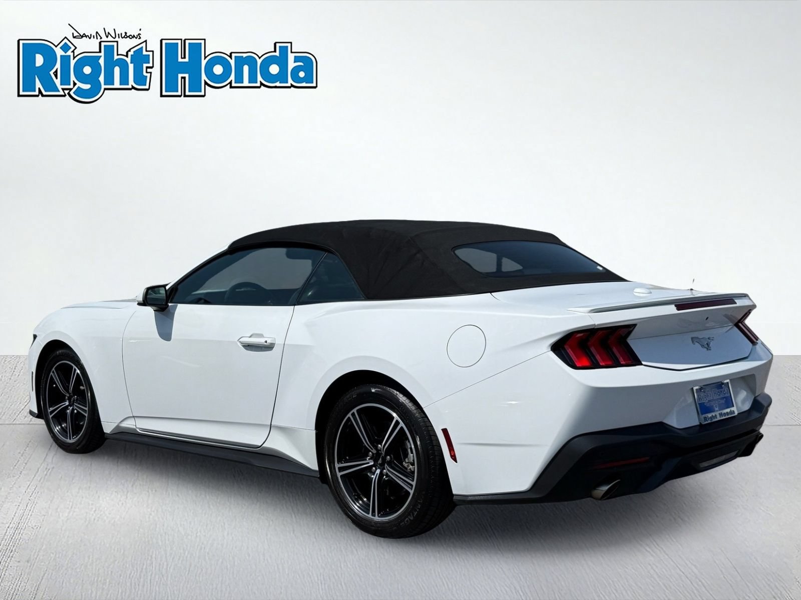 Used 2024 Ford Mustang Premium RWD image 4