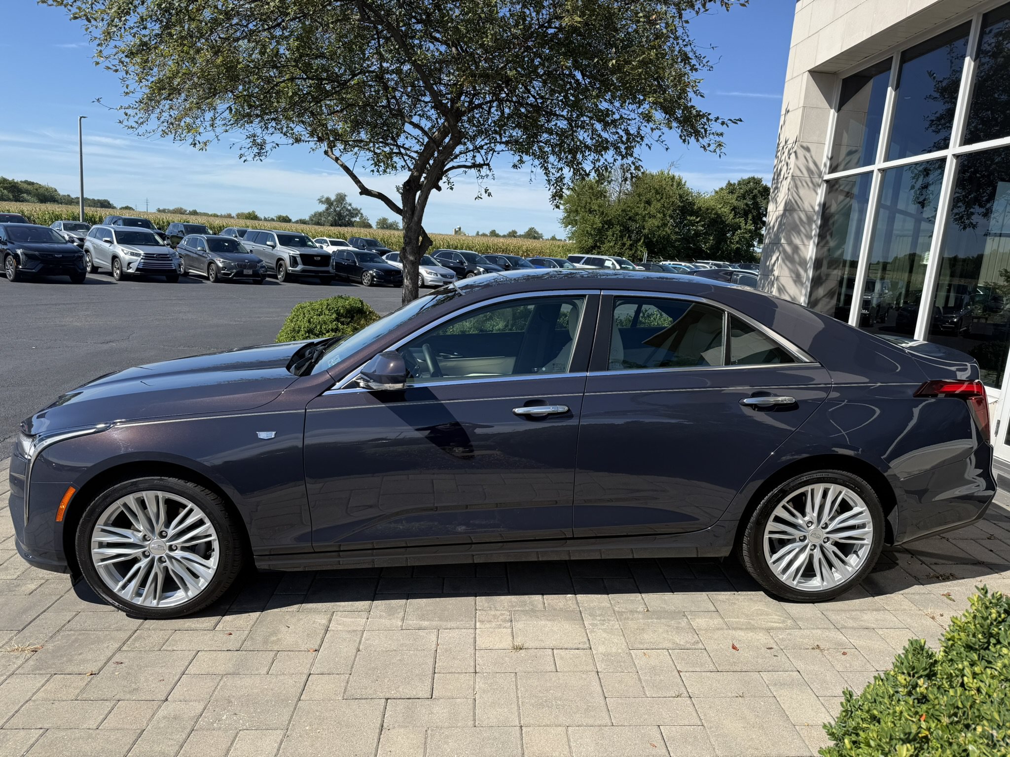 Used 2025 Cadillac CT4 Premium Luxury AWD/4WD image 4
