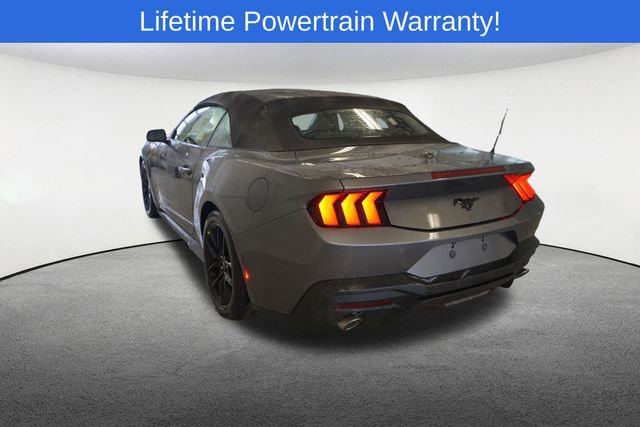 New 2026 Ford Mustang Premium w/ Mustang Nite Pony Package RWD image 10