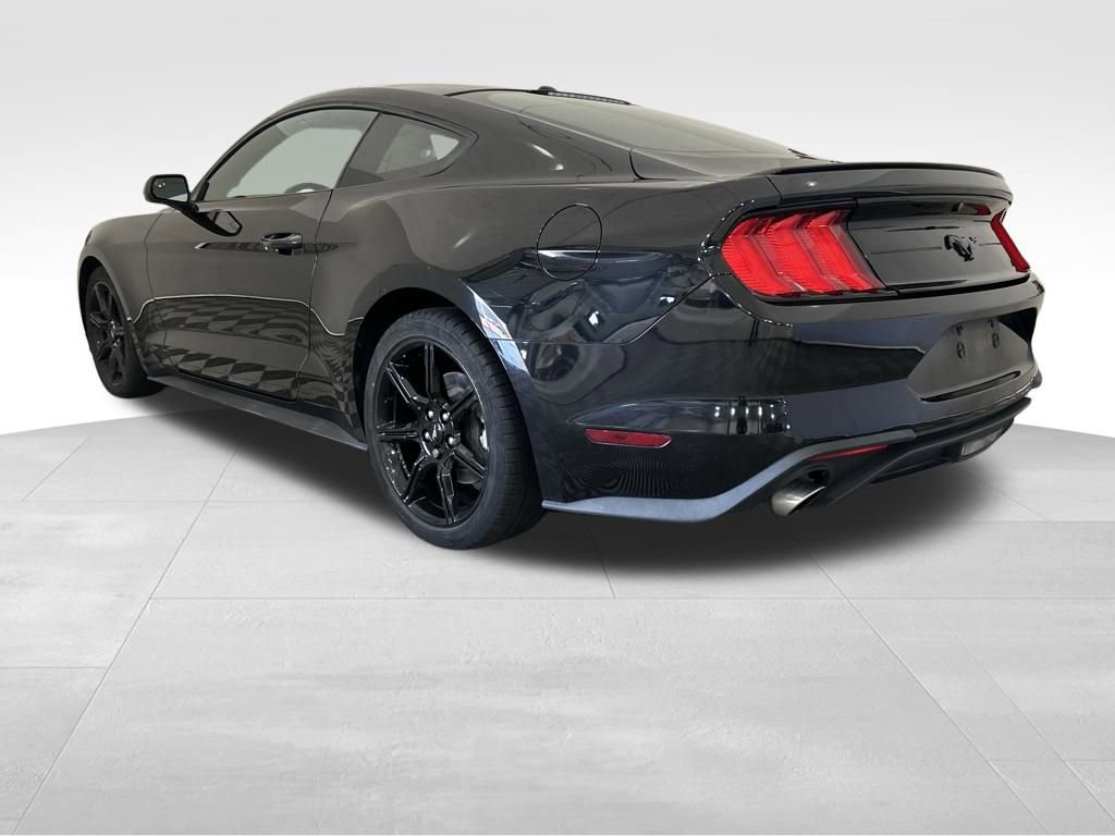 Used 2019 Ford Mustang EcoBoost w/ Equipment Group 101A image 3