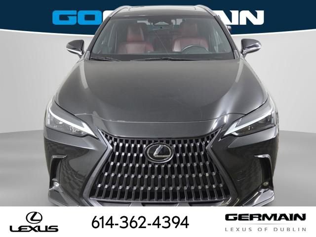 Used 2023 Lexus NX 250 AWD image 4