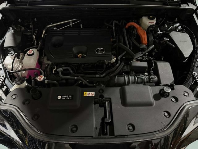 Certified 2024 Lexus NX 350h AWD w/ Cold Area Package image 25