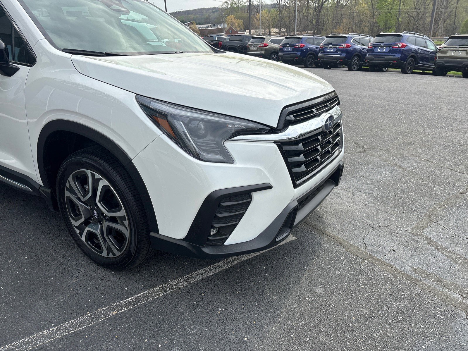 Certified 2025 Subaru Ascent Limited w/ Popular Package #1 image 6