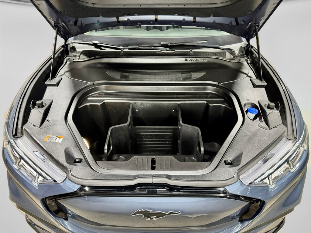 Used 2021 Ford Mustang Mach-E Premium image 25