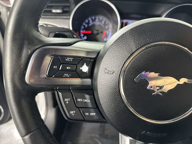 Used 2019 Ford Mustang Premium RWD image 11