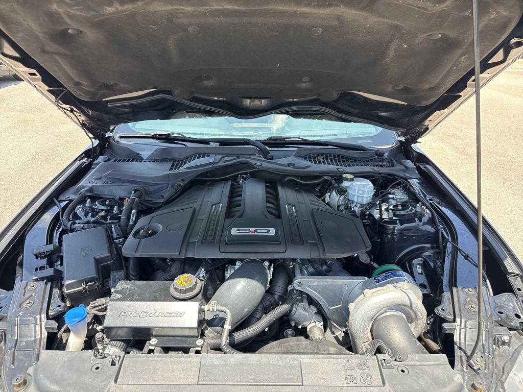 Used 2021 Ford Mustang GT w/ Equipment Group 301A RWD image 29