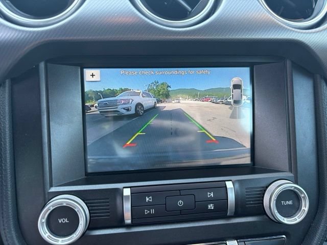 Used 2019 Ford Mustang GT Premium w/ Equipment Group 401A RWD image 5