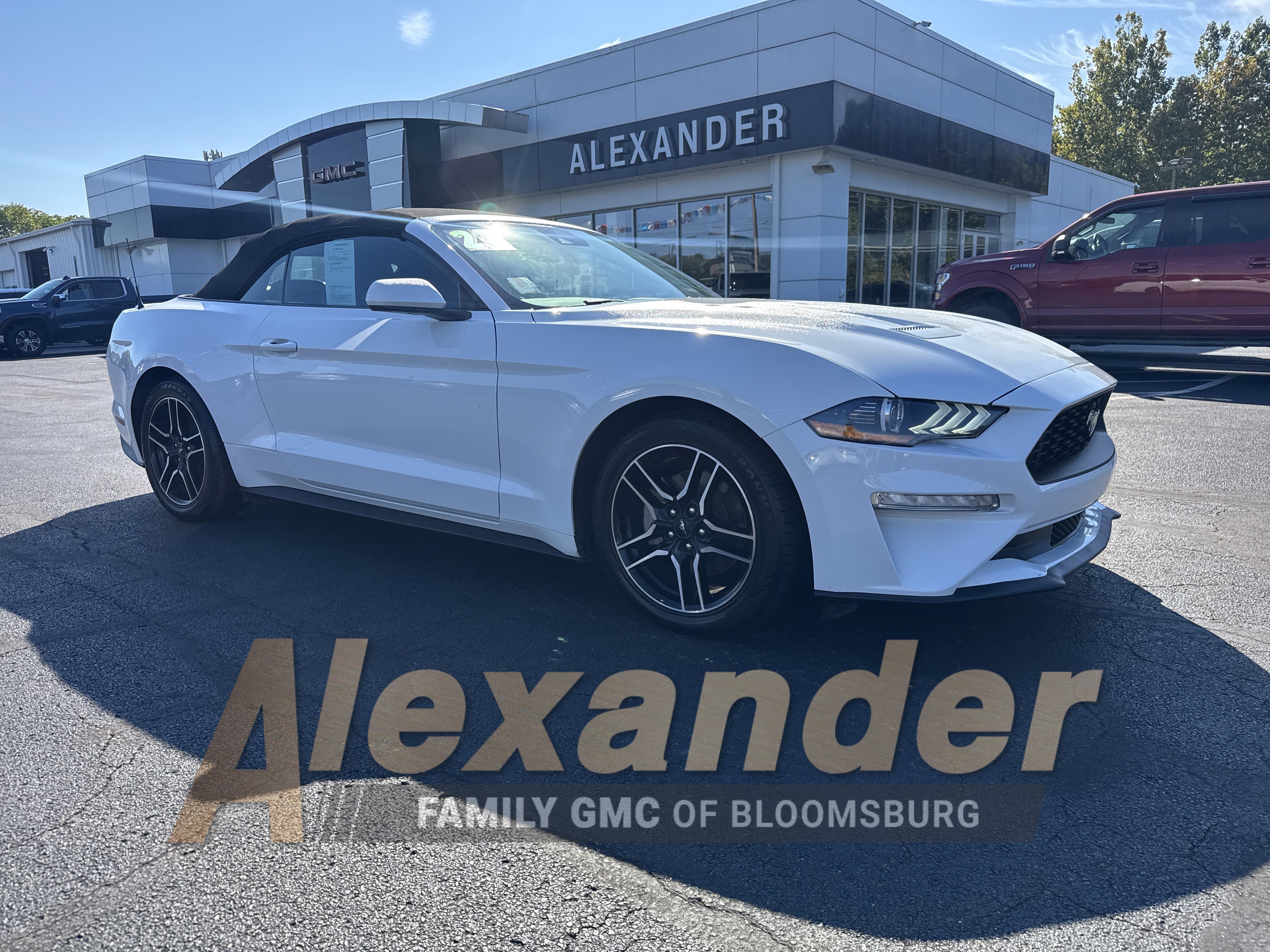 Used 2023 Ford Mustang Premium image 1