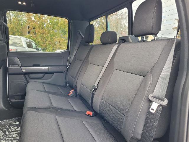 New 2023 Ford F150 XLT w/ Equipment Group 302A High image 6