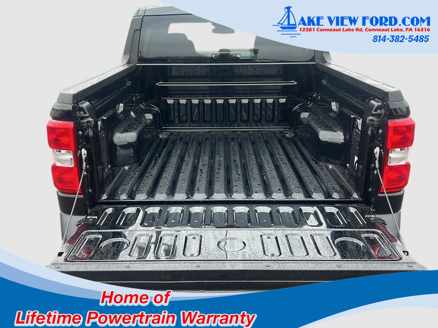 New 2025 Ford Maverick XLT w/ Equipment Group 302A image 9