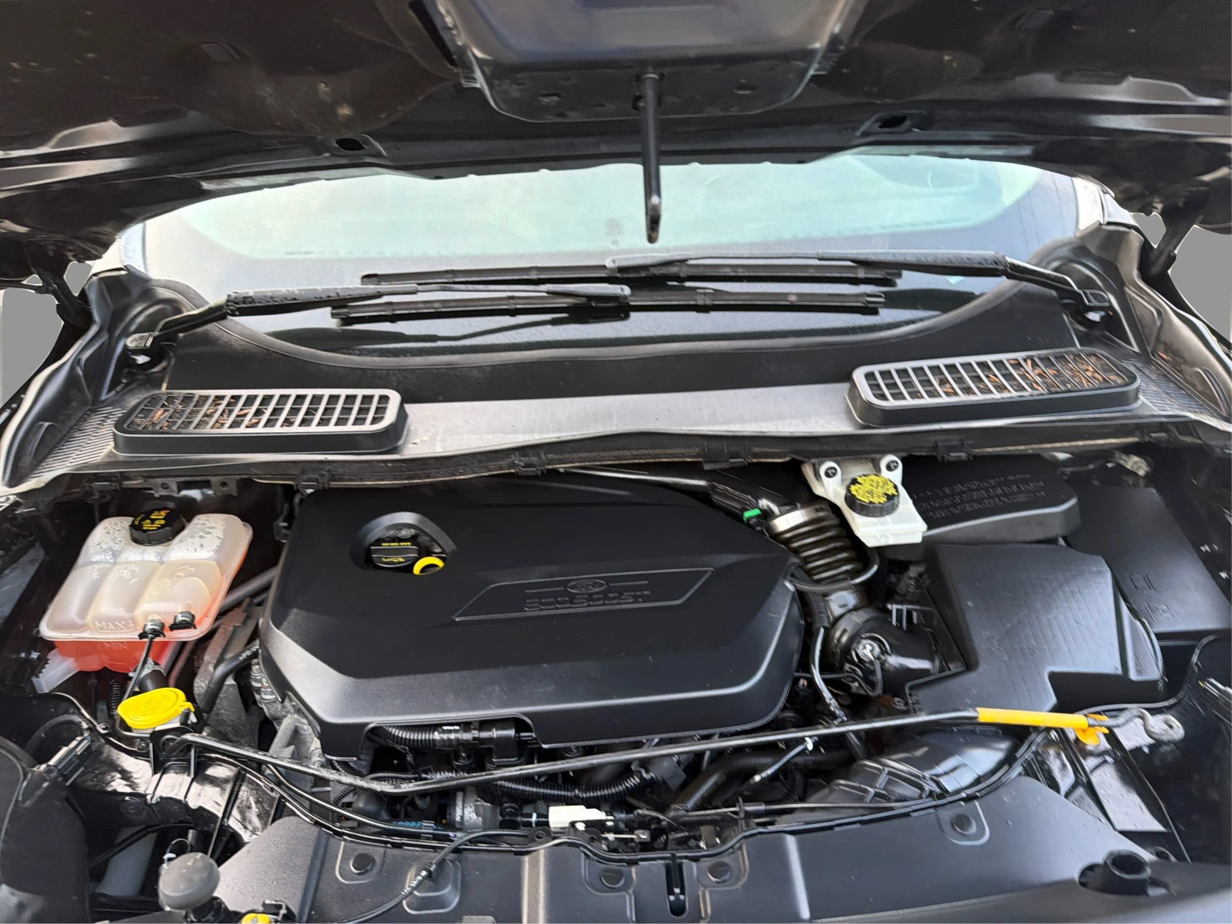 Used 2015 Ford Escape SE FWD image 24