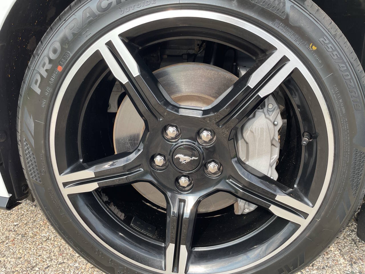Used 2021 Ford Mustang GT Premium w/ California Special Package RWD image 78