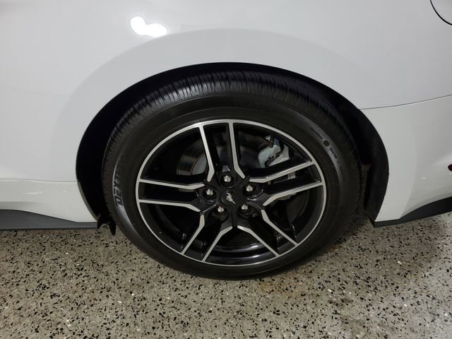 Used 2023 Ford Mustang Premium w/ Equipment Group 201A image 8