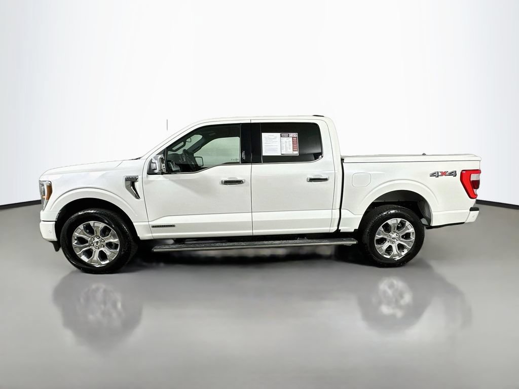 Used 2023 Ford F150 Platinum w/ Equipment Group 701A High AWD/4WD image 5