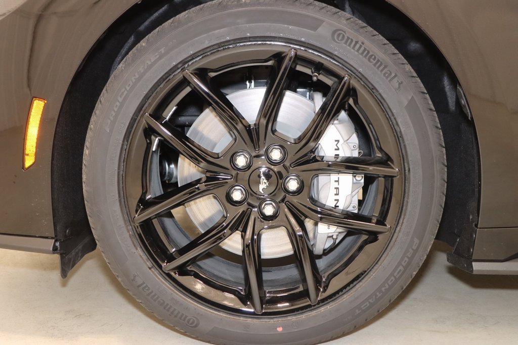 New 2025 Ford Mustang GT w/ Mustang Nite Pony Package image 24