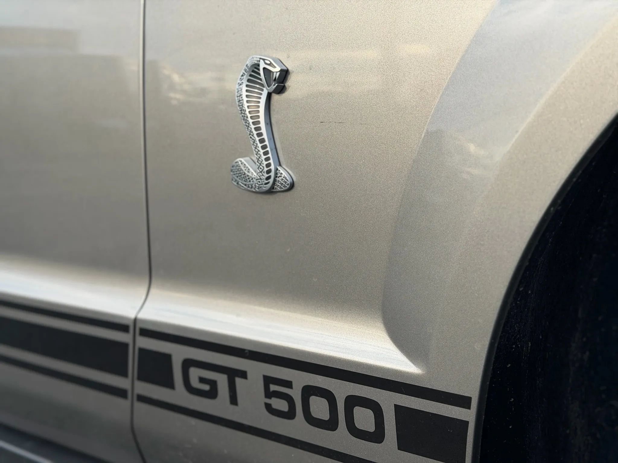 Used 2008 Ford Mustang Shelby GT500 image 10