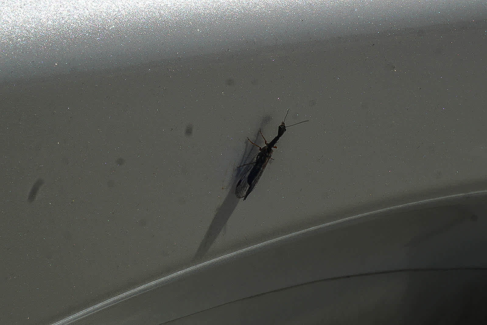 Used 2021 Lexus NX 300 FWD w/ Accessory Package 2 image 22