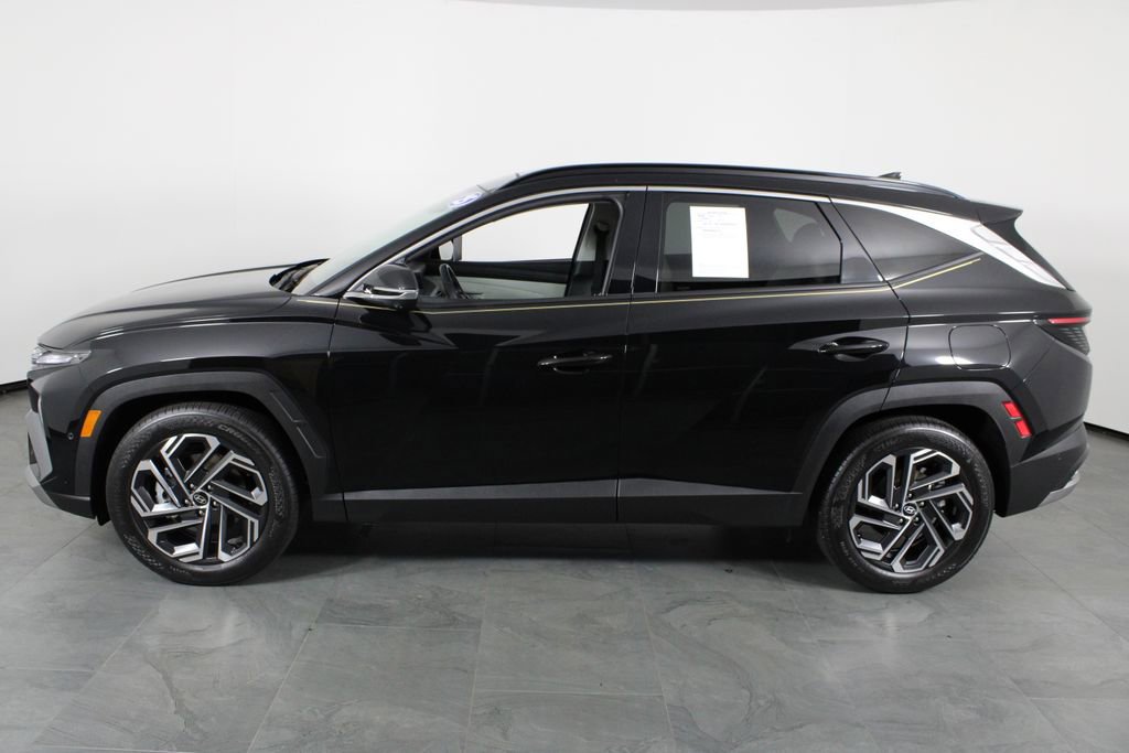 Certified 2025 Hyundai Tucson Limited image 10