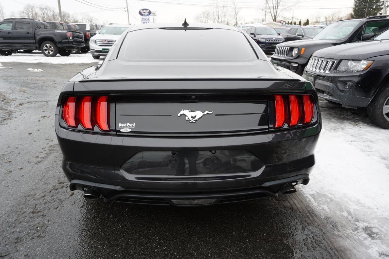 Used 2022 Ford Mustang Premium w/ Equipment Group 201A image 7