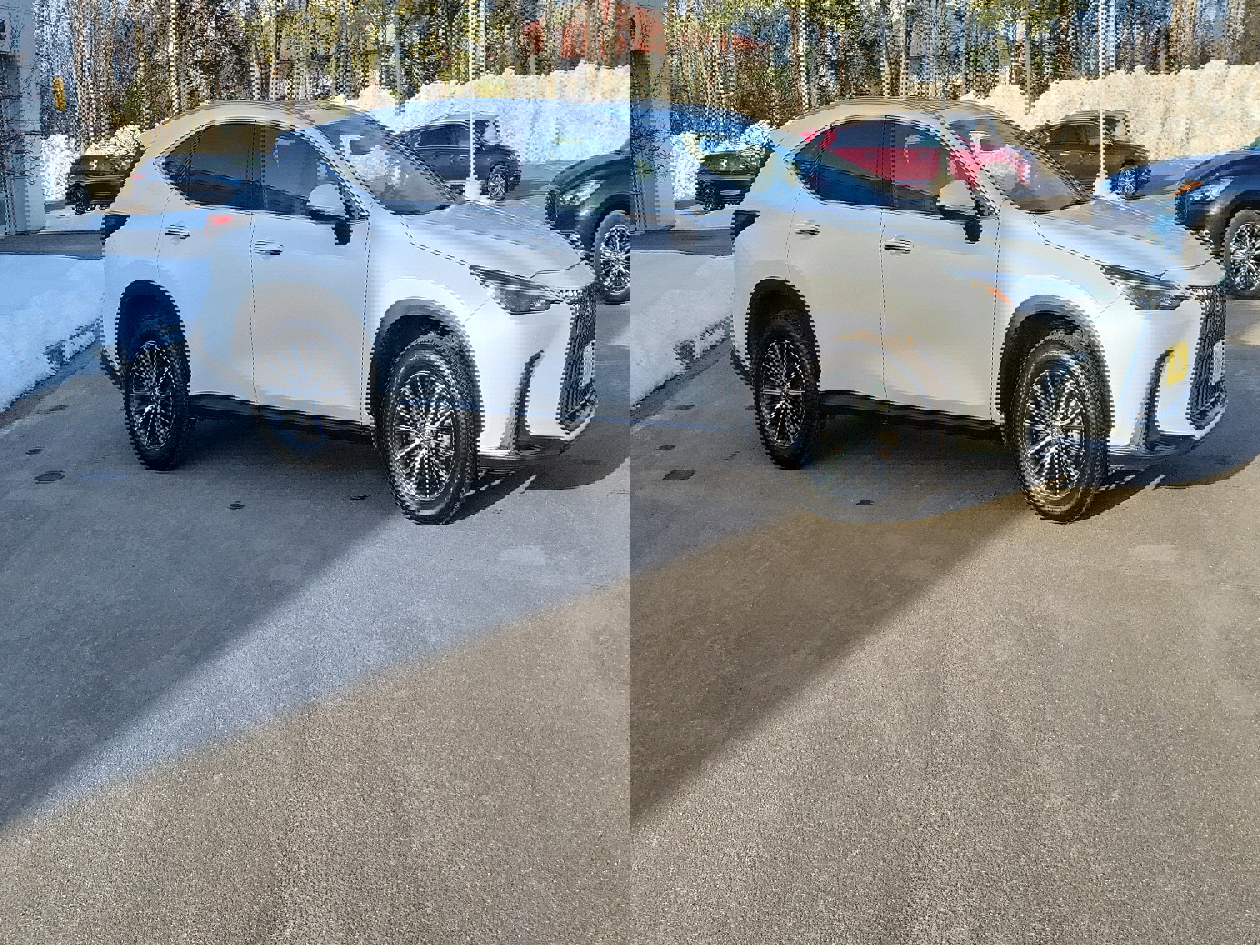 Used 2024 Lexus NX 350h AWD image 8