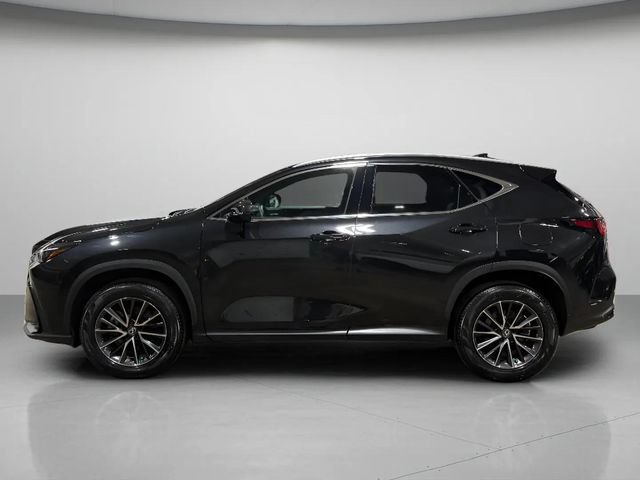 Certified 2024 Lexus NX 350h AWD w/ Cold Area Package image 6