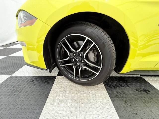 Used 2021 Ford Mustang GT Premium RWD image 10
