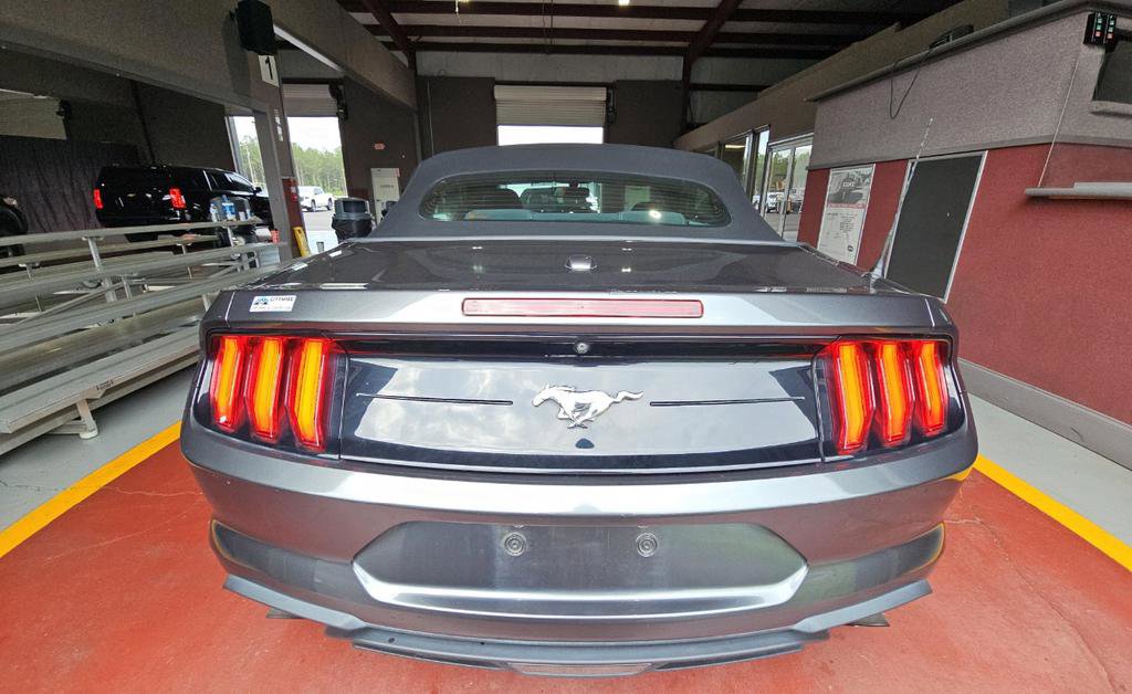 Used 2019 Ford Mustang Convertible RWD image 5