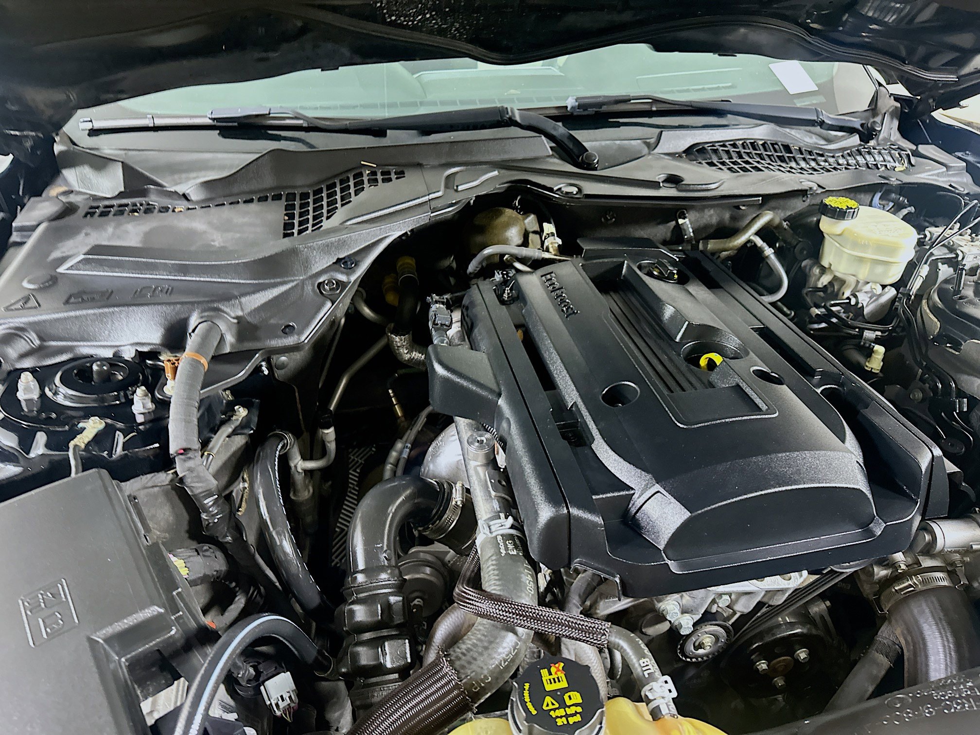 Used 2016 Ford Mustang Coupe image 29