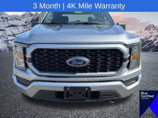 Used 2023 Ford F150 XL w/ STX Appearance Package AWD/4WD image 4