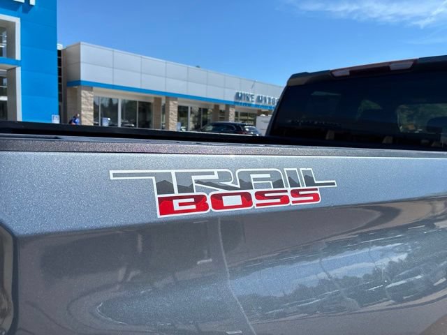 Used 2019 Chevrolet Silverado 1500 Custom Trail Boss w/ Custom Convenience Package AWD/4WD image 7