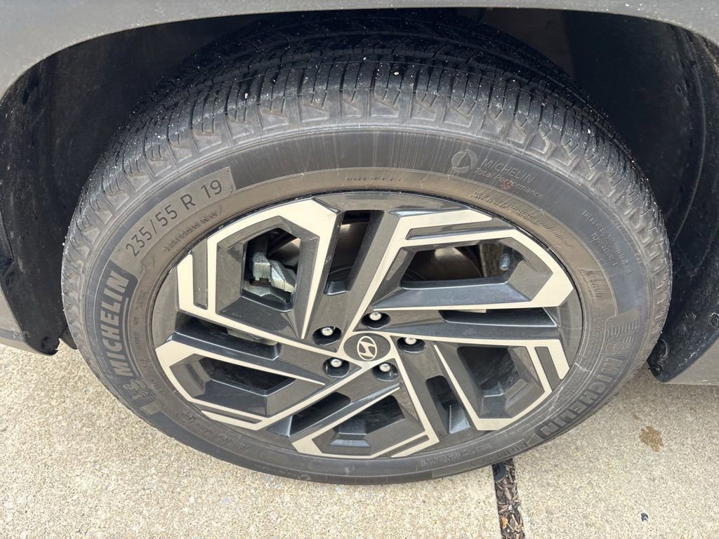 Used 2025 Hyundai Tucson Limited image 11