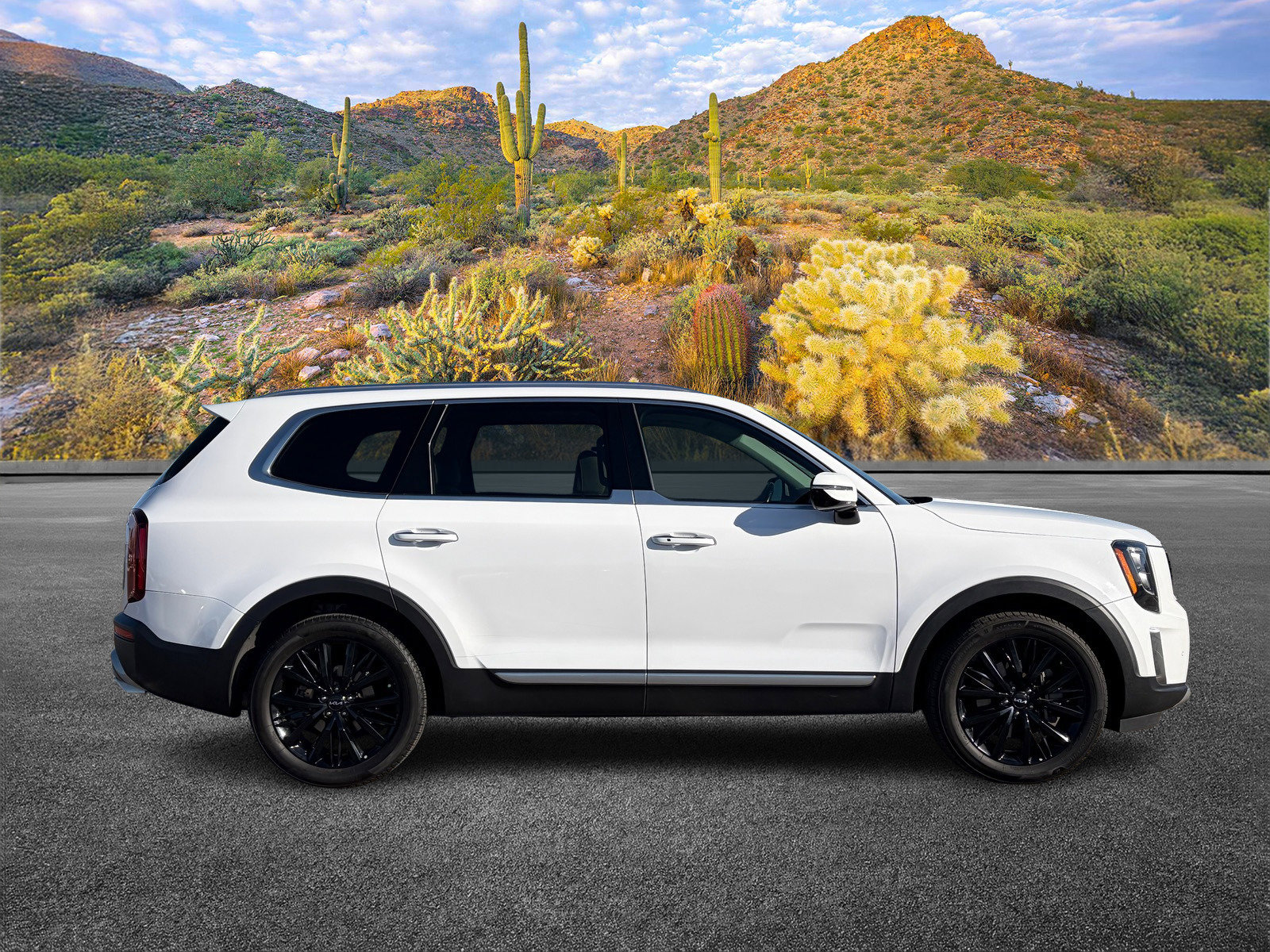 Certified 2022 Kia Telluride SX image 3