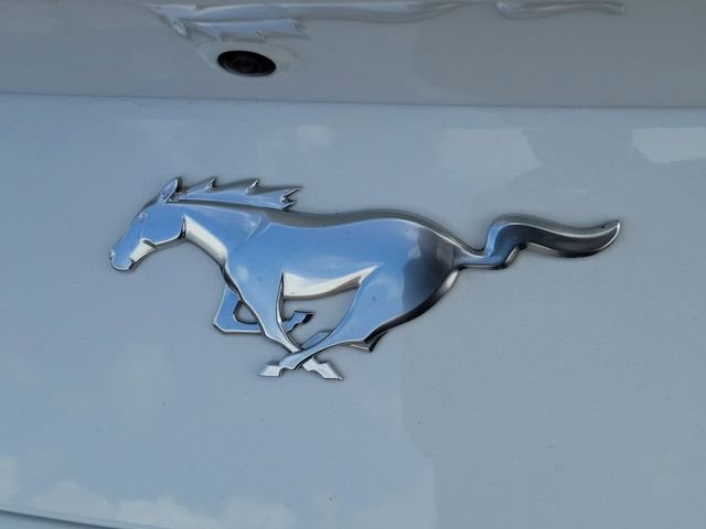Certified 2025 Ford Mustang EcoBoost image 6