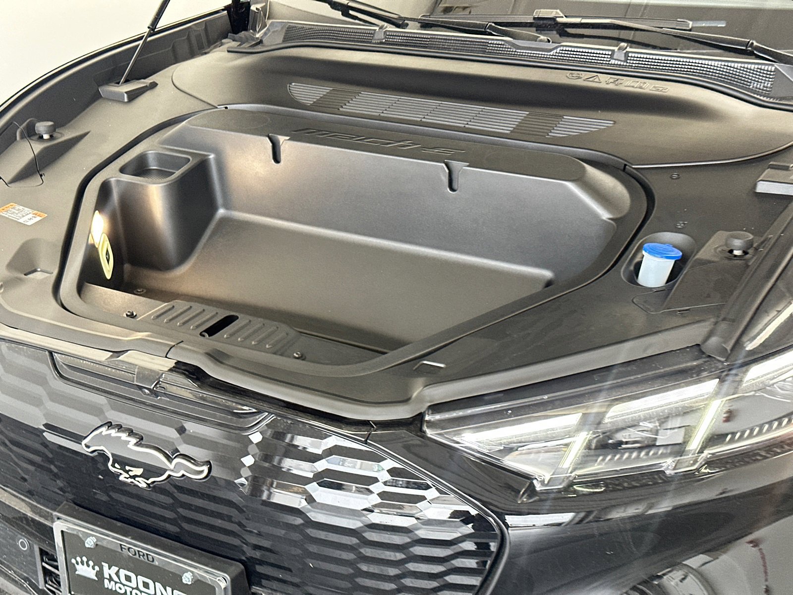 New 2025 Ford Mustang Mach-E GT image 17