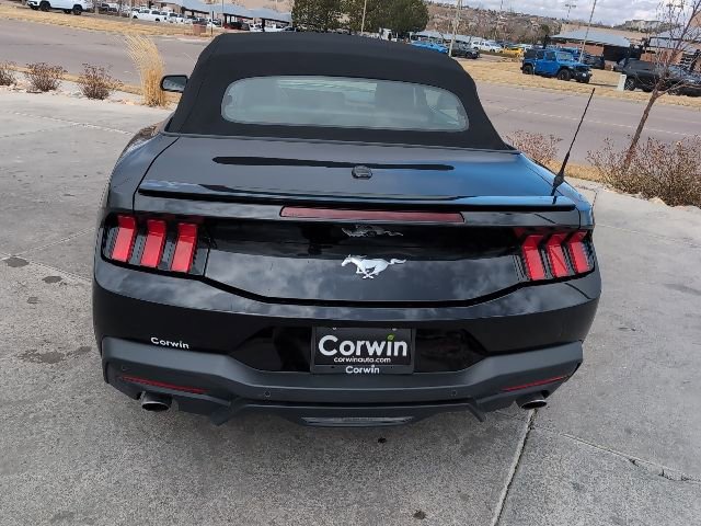 Used 2024 Ford Mustang Premium image 7